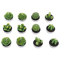 12 Pcs Cactus shaped Candles. Handmade Flameless Home Succulent Candles with Transparent Gift box.Suitable for Xmas Gift