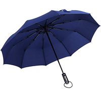 Roysberry Rain UmbrellaWindproof Double Layer Inverted Umbrellas Reverse Folding Umbrella UV Protection 10 Bone Automatic Umbrella