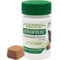 Bayer Advantus Oral Flea Soft Chews for Small Dogs (7 Count)