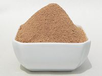 Cordyceps Sinensis Mushroom Extract Powder CS-4 50:1 High Quality Jing Longevity Energy Herb
