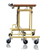 Seat & Roller Bar Covers Walker Folding Easy to Carry Multi-Functional Handicapped Essentials Armrest Crutches Patient Exercise Cart Walker 3 Styles (Color : C, Size : 72.5cm)