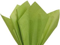 Olive Moss Green Art DIY Crafts Tissue Paper for Gift Wrapping 15"X20" 5 Sheets