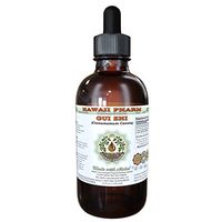 Gui Zhi Alcohol-FREE Liquid Extract, Gui Zhi, Cinnamon (Cinnamomum Cassia) Twig Glycerite Herbal Supplement 2 oz