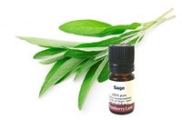 Sage 100% Pure Essential OIl, 5ml