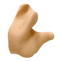 Radians CEP001-T Tan Custom Molded Earplugs by Radians