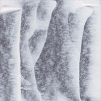 Relief Ink Color: Titanium White