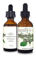 New Icecube's Triple-Extracted PLANTAGO Major Extract (2 oz.) …