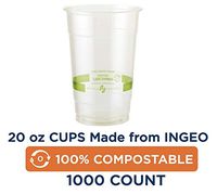 100% Compostable Cups by World Centric, Made from Ingeo PLA, for Cold Drinks, Clear, 20 oz (Pack of 1000)