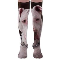 White Pitbull Polyester Cotton Over Knee Leg High Socks Humorous Unisex Thigh Stockings Cosplay Boot Long Tube Socks for Sports Gym Yoga Hiking Cycling Running Soccer