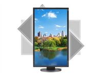 NEC Display MultiSync EA223WM 22" LED LCD Monitor - 16:10 - 5 ms