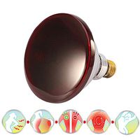 Enwepoeo Infrared Therapy Bulb, 150W for Body Muscle Joint Pain Relief with Improve Sleep Blood Circulation Back Shoulder Finger Pain Home Serfory 230V