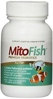 Imagilin Technology, LLC MitoFish Premium Pediococcus Based Probiotics and Prebiotics for Fish, 15 Capsules Per Bottle