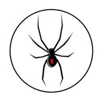 HotSaleStore Sticker Seals 48 Black Widow Spider Envelope Seals Labels Stickers 1.2" Round