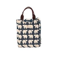 Juiniyi Waterproof Portable Insulated Lunch Bag, 9.4x9.8x6.7inch Large Capacity for Your Lunch Box Picnic Food Container Storage Tote Bags