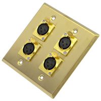 Seismic Audio SA-PLATE19 Gold Stainless Steel 2 Gang XLR Female Wall Plate with 4 XLR Female Connectors