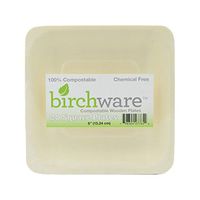 Square Compostable Wooden Plates, Party & Craft Supplies - Birchware (20 Pack)