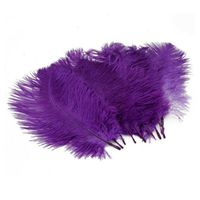 Pack of 10, 15-20 cm Home Decor Real Natural Ostrich Feathers Great Party Wedding Decorations(Purple)