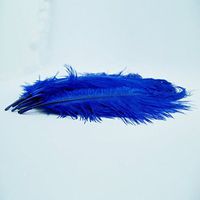 KOLIGHT 1000pcs Ostrich Feather Blue 10"-12" Natural Feathers Wedding, Party,Home,Hairs Decoration