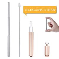 Reusable Stainless Steel Straw Telescopic Travel Straw in Case