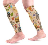 LEVEIS Happy Birthday Hedgehog Rabbit Fox Calf Compression Sleeves 1 Pair, Leg Performance Support for Shin Splint Calf Pain Relief Men & Women Guards Sleeves for Running Cycling