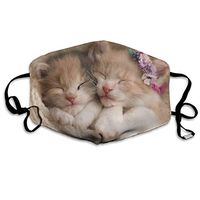 Hongclever Reusable Mouth Face Masks Cats Earloop Mask Washable Outdoor Anti-Dust Allergy Windproof