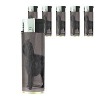 Dog Affenpinscher 02 Lighter Set of 5 Pieces