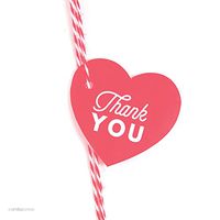 Andaz Press Heart Gift Tags, Chic Style, Thank You, Coral, 30-Pack