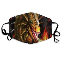Face Mask Dragon 3D Fire Vintage Cycling Half Face Earloop Dust Mask for Women