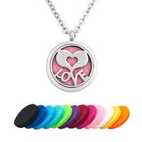 CoolJewelry Essential Oil Diffuser Heart Love Aromatherapy Necklace Pendant Locket Magnetic Perfume Jewelry for Girls