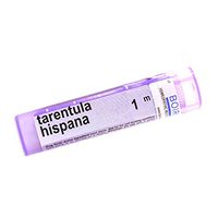 BOIRON USA - Tarentula Hispana 1m [Health and Beauty]