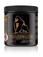 Guerrilla WARFARE Pre Workout Thermogenic Fat Burner Powder, Energy, 40 Servings, Weight Loss (Strawberry Watermelon)