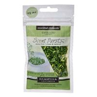 Candle-Lite Essential Elements Clean & Natural Scent Bursts Paper Warmer Refills Lasts 2X Longer Than Wax (Eucalyptus & Cucumber 4 Pack)