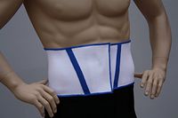 Alpha Medical Lightweight Elastic Back Support (Large)