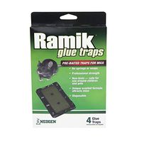 Neogen 116220 Glue Rodent Trap