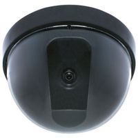 SPECO VL183 B/W Dome Camera