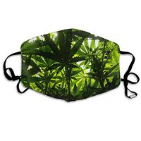 Face Mask Spectrum of Light Stylish Cycling Half Face Earloop Dust Mask for Women