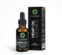Hemp Oil Extract - Organic 500mg of Natural Hemp Extract for Stress & Pain Relief - Supports Healthy Skin & Hair Care with Improved Sleep Patterns, Mood Support