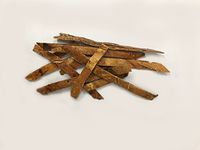 栝蒌皮 | Chinese Cucumber Bark