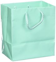 10 pcs Small Fancy Robin's Egg Blue Glossy Finish Shopping Paper Gift Sales Tote Bags with Blank Message Tag 4" x 2.75" x 4.5"