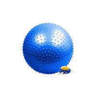 ZHONGYUE Yoga Massage Ball, Bump Ball, Pap Ball, Classic Gray, 85cm Yoga aids, (Color : Purple, Size : 95cm)