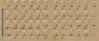 Datacal Non-English Keyboard Overlay - Japanese (Hiragana), Durable L