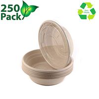 26Oz Round Disposable Bowls with Lids Natural Sugarcane Bagasse Bamboo Fibers Sturdy Compostable Eco Friendly for Hot And Cold Foods, 250 Pack