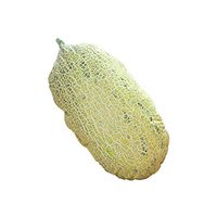 Meidexian888 3D Pillow,3D Funny Cantaloupe Shape Digital Print Comfort for Home Decoration
