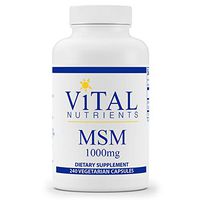 Vital Nutrients - MSM - Natural Form of Organic Sulfur - 240 Vegetarian Capsules per Bottle - 1000 mg