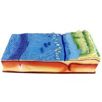 LXX Geography Teaching Model- Seabed Topography Model School Geology Class Teaching Demonstration- for Geography Teaching Learning Aids Tool