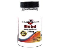 Olive Leaf Standardized Extract 250mg* 100 Caps 100% Natural - by EarhNaturalSupplements