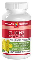 Brain and Memory Boost - ST. John's Wort Extract - Promotes Positive Mood - st John Wort - 1 Bottle (60 Capsules)