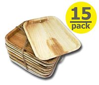 "Balance of Nature" Planet Friendly Plates ; Upscale Disposable Dinnerware; All-Natural Friendly, Compostable Plateware, Ideal for Weddings, Parties, Events, Camping (5.6" Square (15 pack))