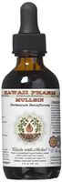 Mullein Alcohol-FREE Liquid Extract, Organic Mullein (Verbascum densiflorum) Dried Flower Glycerite Natural Herbal Supplement, Hawaii Pharm, USA 2 oz