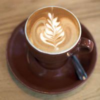 CUPPALIFE Reishi Mocha Blend (2 oz)